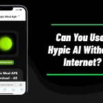Can You Use Hypic AI Without Internet